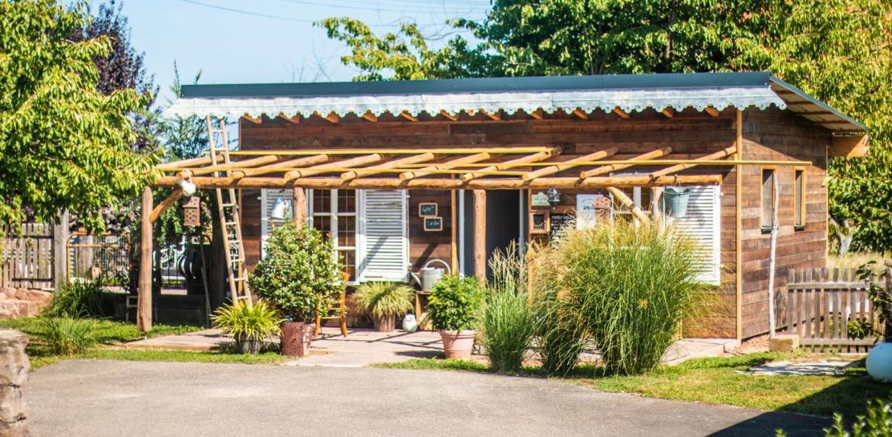 Appartement Cab’âne à Guémar Extérieur photo